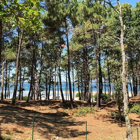 Maisonnette A 3 Min De La Plage 2 Velos Pretes Apartamento